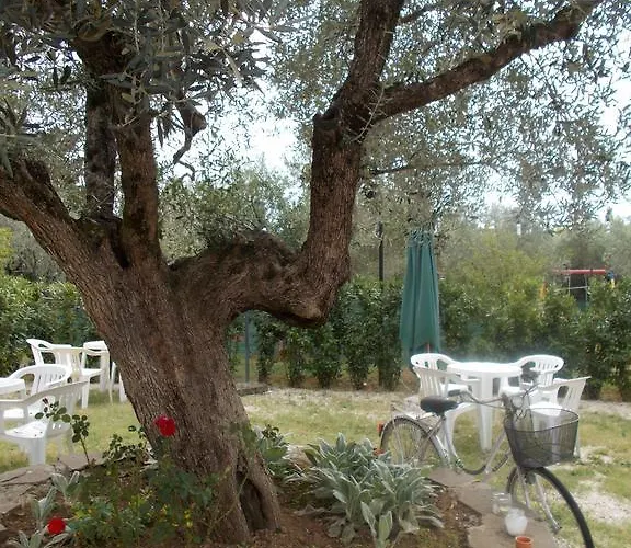Casa Degli Ulivi