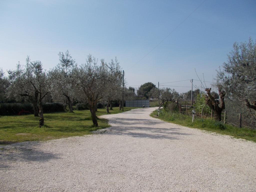 Maison d'hôtes Casa Degli Ulivi